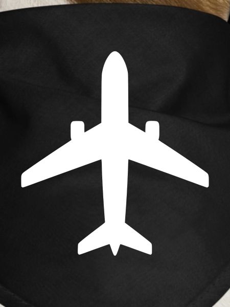 airplane