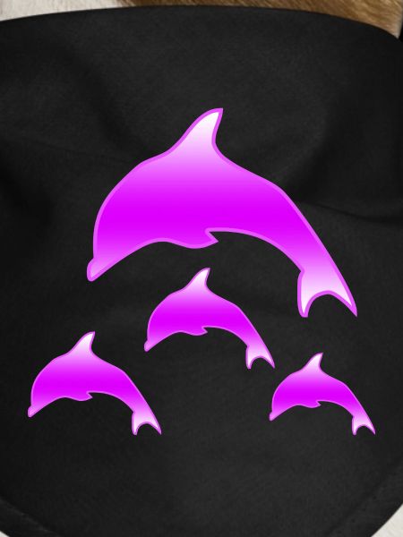 Dolphins