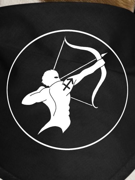 Sagittarius (white)