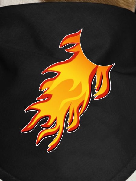 Flame Comic Tail, Combine