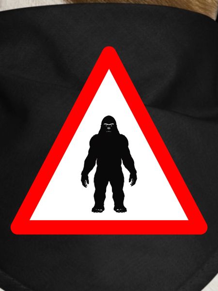Beware Sasquatch Ahead