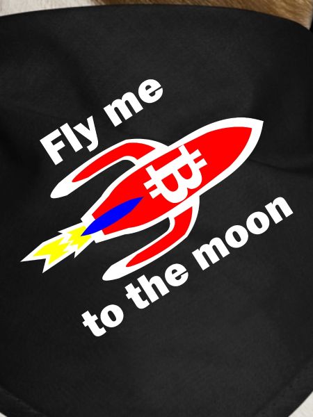 Bitcoin Rocket Flight Moon Design