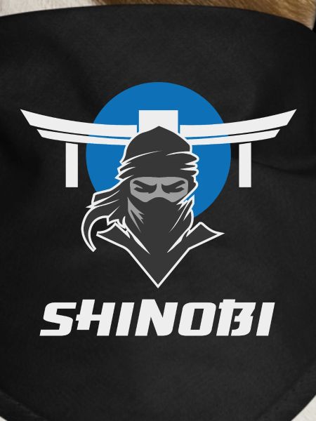 Shinobi Ninja Martial Arts