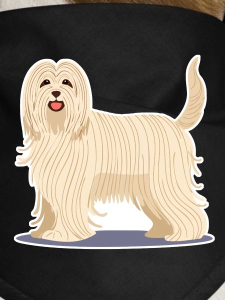 Komondor (Comic)