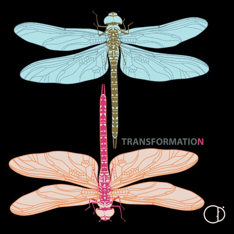 Libellen und Transformation by CD