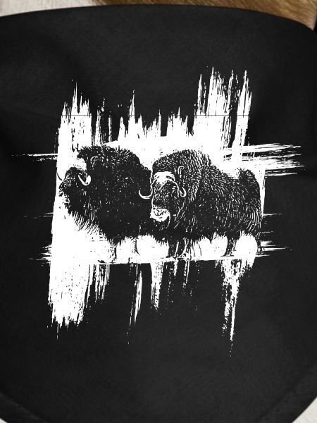 Les Bisons