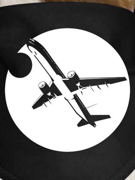 Aviator Drawing