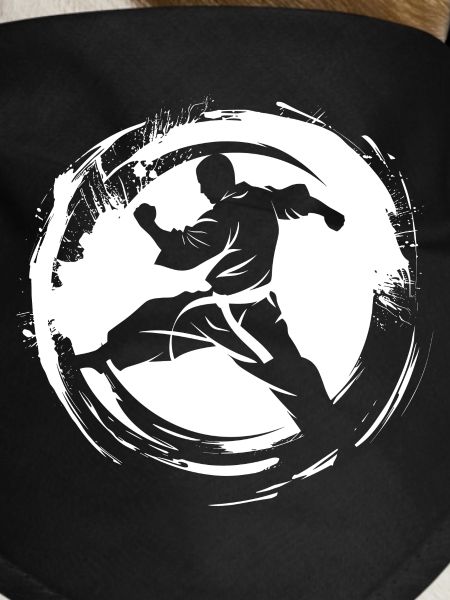 Karateka Sketch