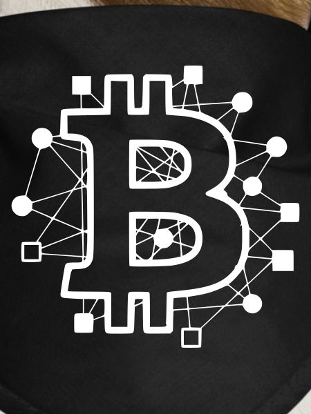 Bitcoin Board Circuit Tech Crypto