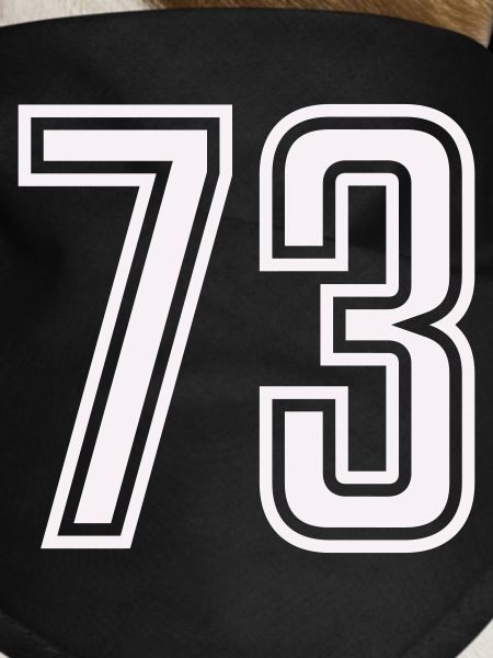 73