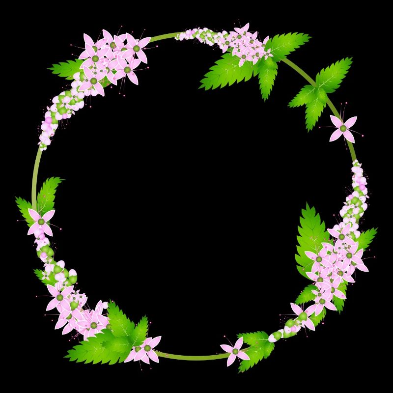 fresh mint leaves and mint flowers as a frame