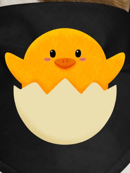 Easter Chick in Egg