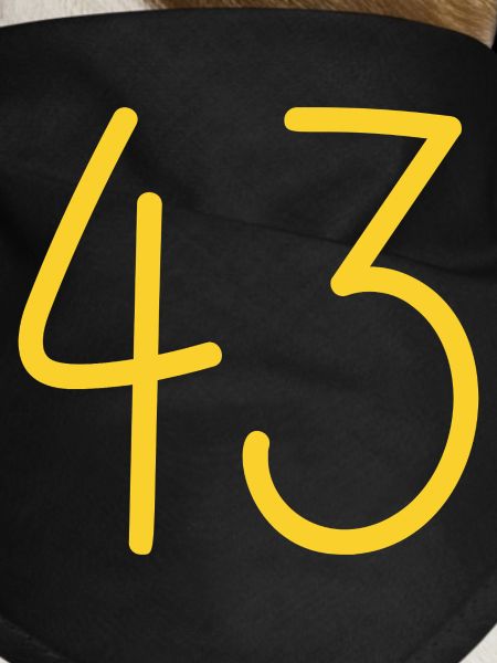43