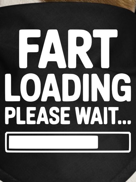 Fart Loading Please Wait...