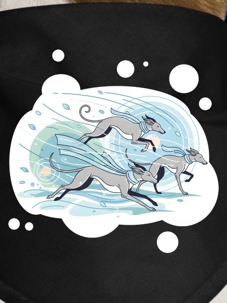 greyhounds