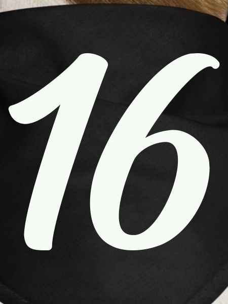 16-