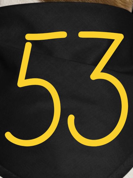 53