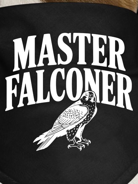 Master Falconer