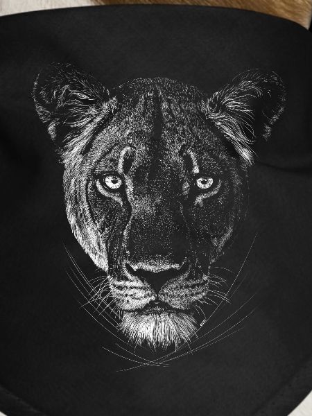 Lioness