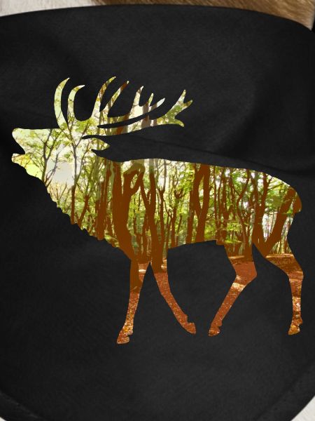 cerf