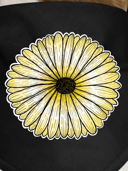 Yellow daisy