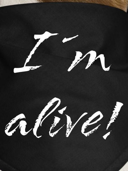I´m alive