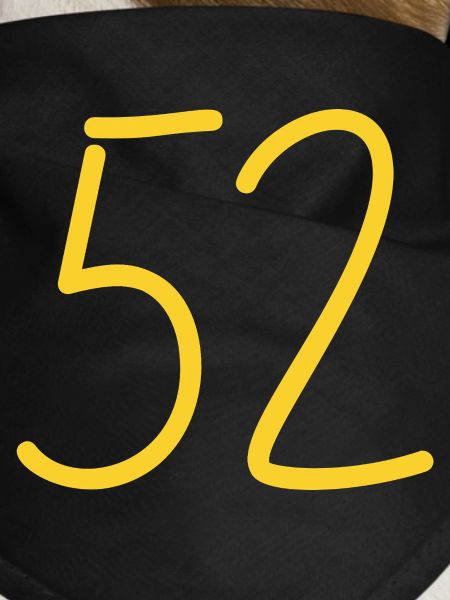 52