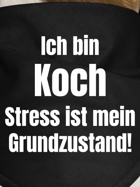 Chef Stress Basic Condition