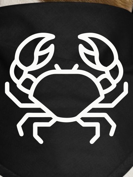 Minimalist Crab Online