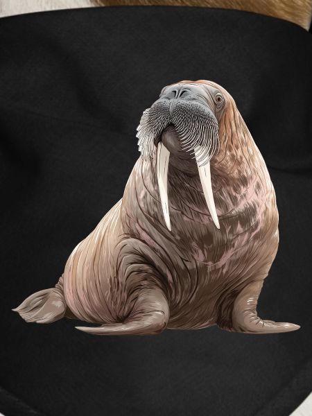 Walrus