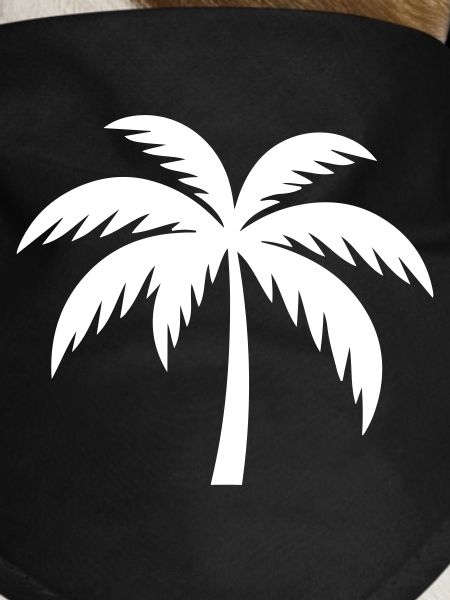 Palm Tree Silhouette