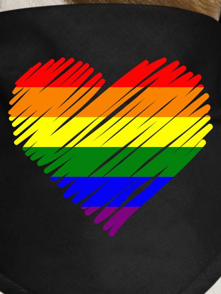 Rainbow Pride Heart