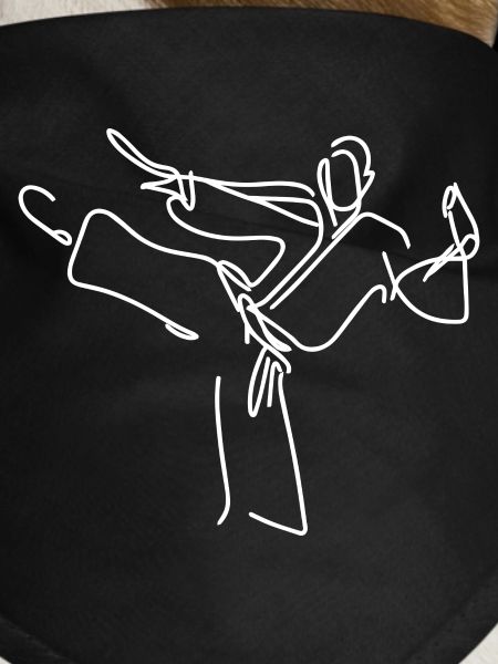 Karateka Drawing