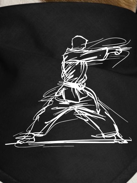 Karateka Sketch
