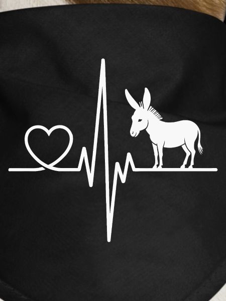 donkey