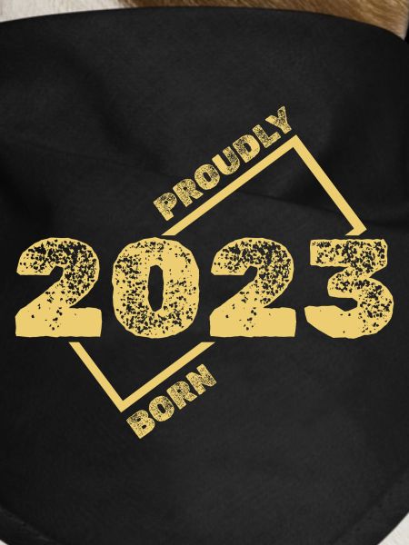 2023 2023