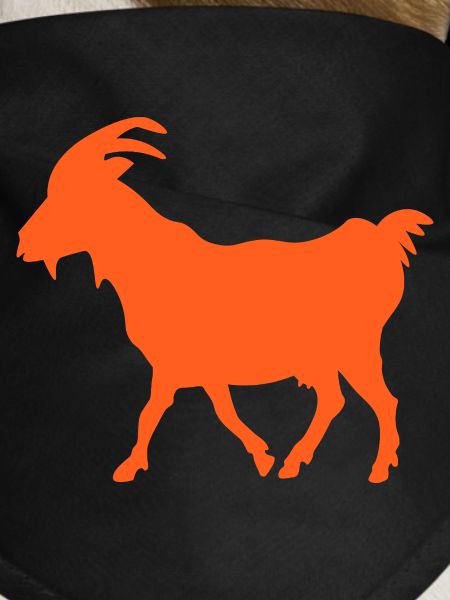 Ziege orange GOAT