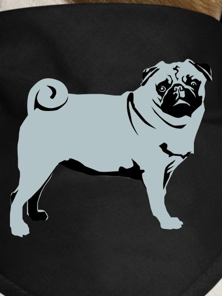 Pug