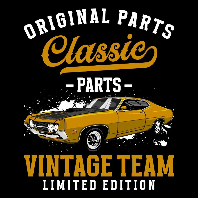 Technicien en mécatronique automobile Alt