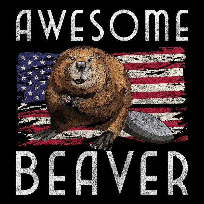 Barrage de castor Animal Queue de castor