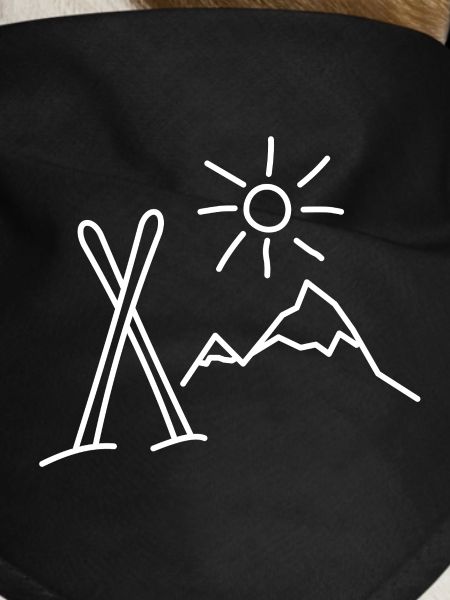 ski