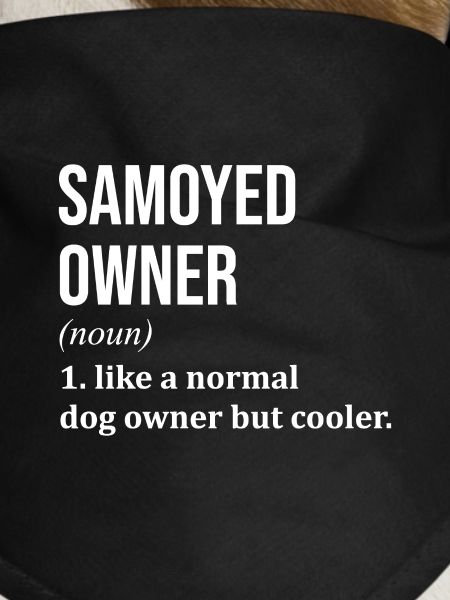 Samoyed Samoyed Samoyed