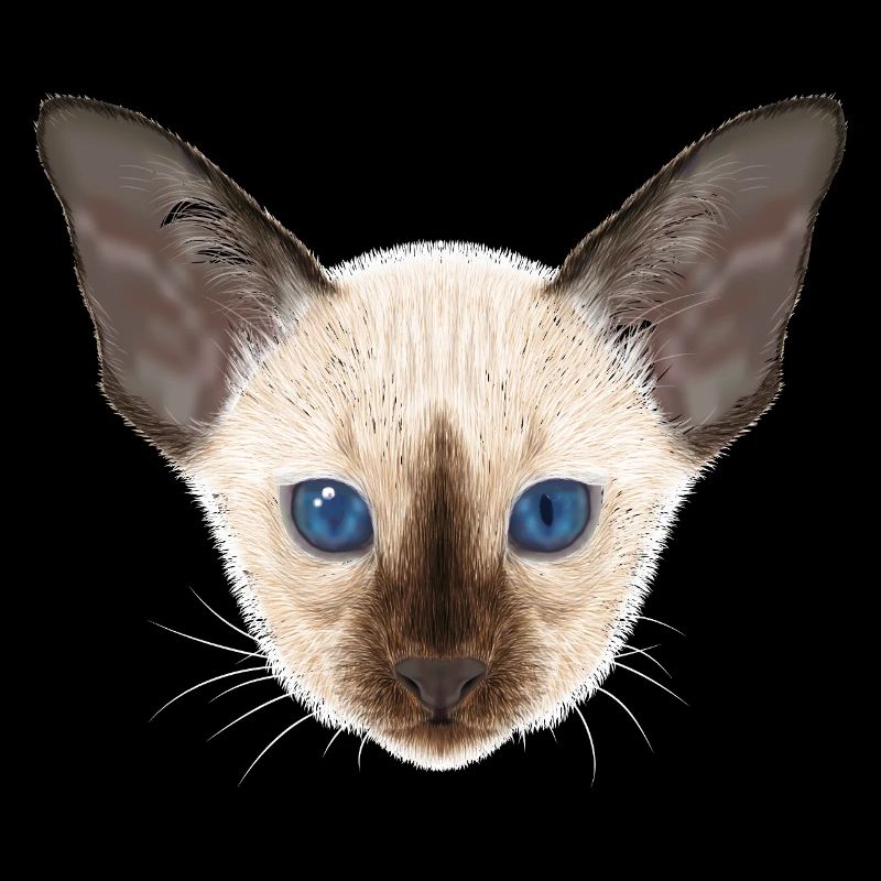 Siamkatze 