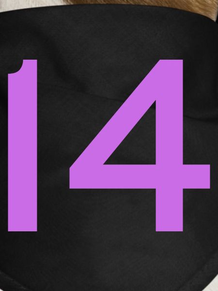 14
