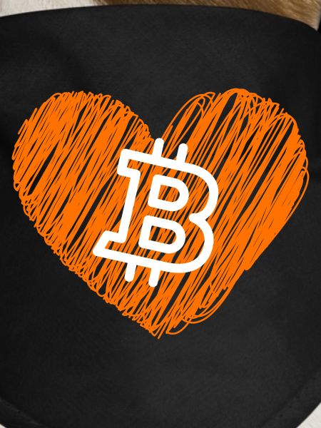 Bitcoin Crypto Cryptocurrency Splash