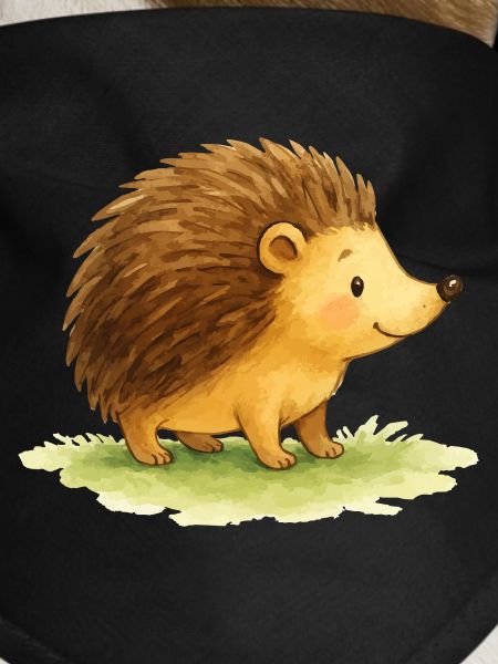 Hedgehog Comic