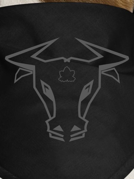 Stier_002a