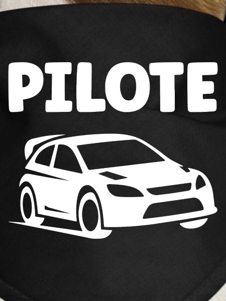 rallye
