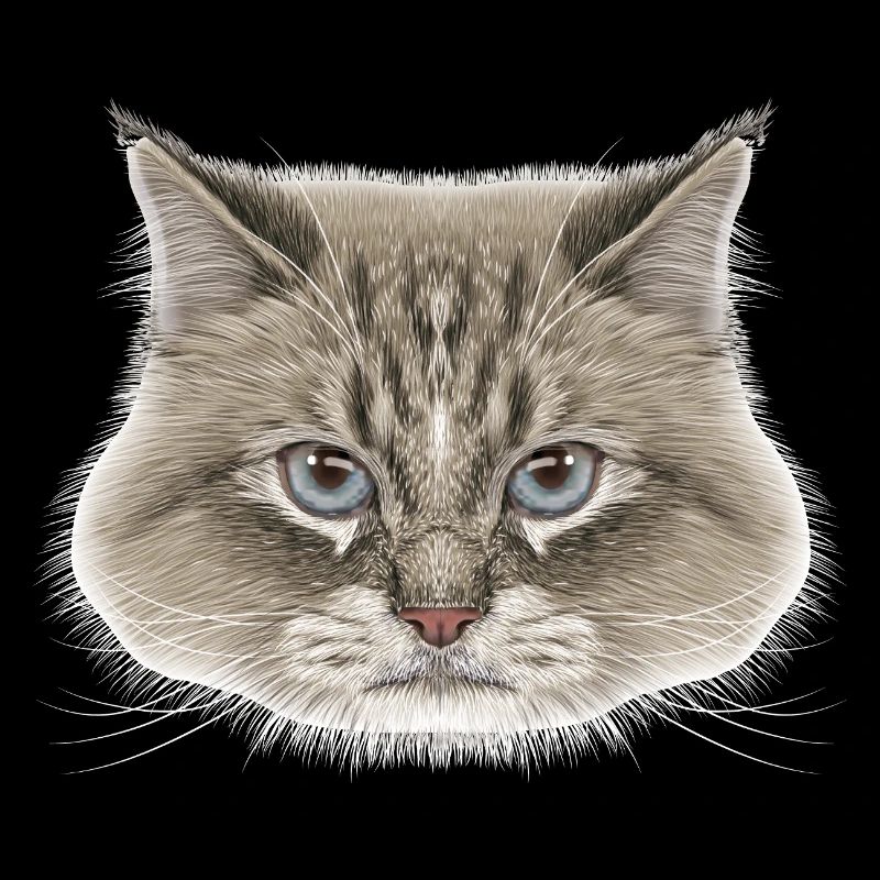 Siberian Cat