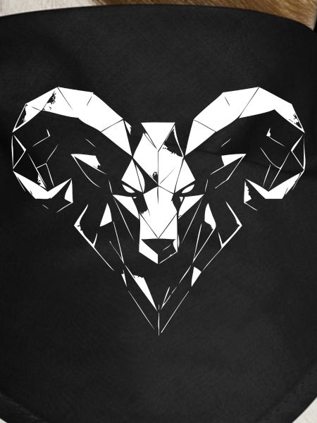Geometric ram polygon design